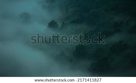 Beautiful tropical mountain mist in rain forest