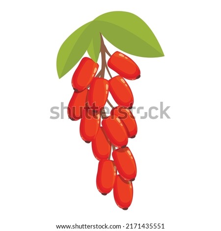 Organic barberry icon cartoon vector. Berberis fruit. Goji plant Royalty-Free Stock Photo #2171435551