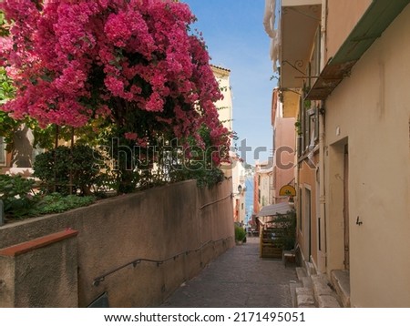 Pink bougainvillea in a narrow street by the sea in Villefranche-sur-Mer on the French Riviera.