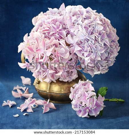 Pink hydrangea flowers in a vintage jug on a blue background . 