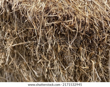 a pile of straw as a background