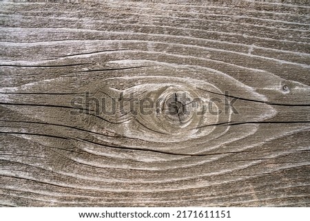 The texture of an old decaying tree. Wooden background.