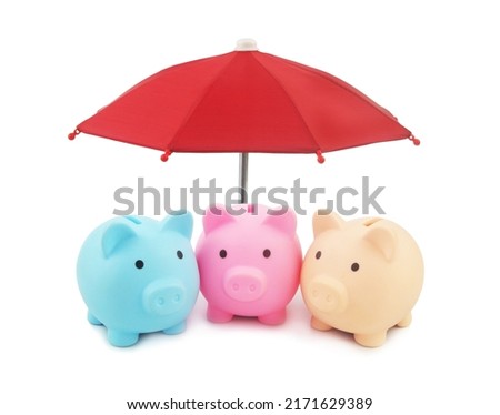 Money, investments, financial funds safety and protection concept. Piggy banks under red umbrella isolated on white background.
