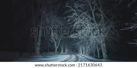 Majestic snow-covered forest in a fog at night. Panoramic winter landscape. Tree silhouettes in the dark. Silence, mystery, gothic concepts Royalty-Free Stock Photo #2171630643