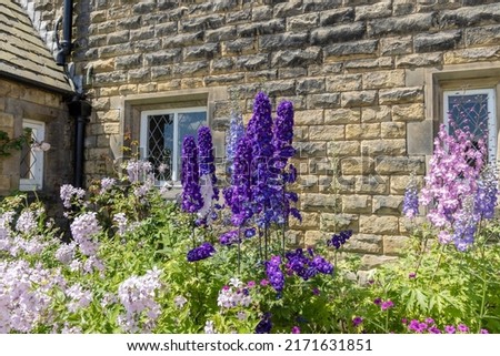 Tall delphinium and campanula flowering plants in a cottage garden. Royalty-Free Stock Photo #2171631851