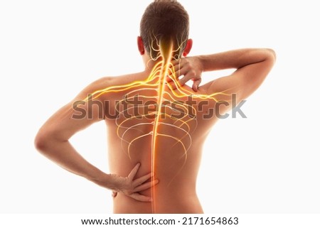 Neck pain, nervous system, human anatomy, spine and neck nerves	
 Royalty-Free Stock Photo #2171654863