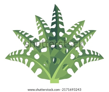 Cartoon fern. Green ancient forest natural plant Royalty-Free Stock Photo #2171693243