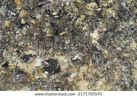 The best stone texture. Lovely textured background. Close-up top view photo.