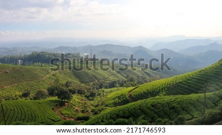 Amazing View of Tea Garden from Kannan Devan Hills, Munnar, Kerala, India Royalty-Free Stock Photo #2171746593