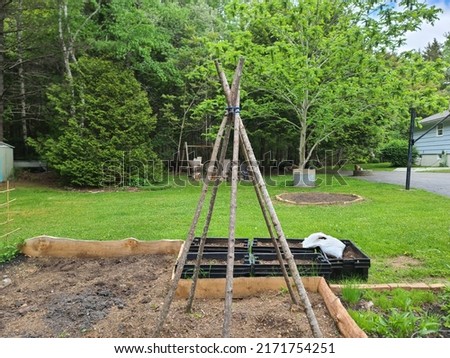 A garden with sticks tied up with a bungie cord within it. The teepee like shape is meant to act as a trellis for the vines to grow up along. Royalty-Free Stock Photo #2171754251