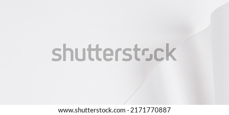 Abstract geometric shape white color paper background. Creative monochrome background of shape and curve lines