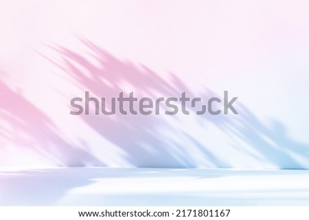 Abstract gradient blue studio background for product presentation. Empty room with shadows of window and flowers and palm leaves . 3d room with copy space. Summer concert. Blurred backdrop. Royalty-Free Stock Photo #2171801167