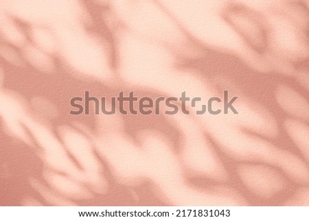 Shadow and light of leaves tree branch background. Natural  colorful leaf pastel pink, coral, rose gold shadow and light from sunlight on white wall texture for wallpaper overlay effect and design