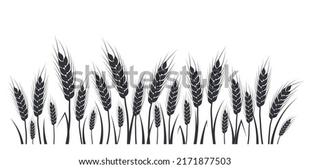 Wheat, oat, rye or barley field silhouette. Cereal plant border, agricultural landscape with black spikelets. Banner for design beer, bread, flour packaging. Royalty-Free Stock Photo #2171877503