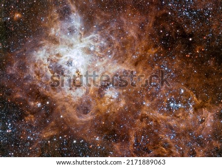 The Tarantula Nebula in the Large Magellanic Cloud. Elements of this picture furnished by ESO