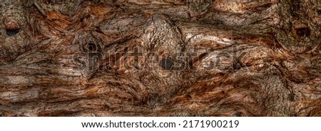 Panoramic closeup of the abstract rough bark of a sequoia tree with knotholes Royalty-Free Stock Photo #2171900219