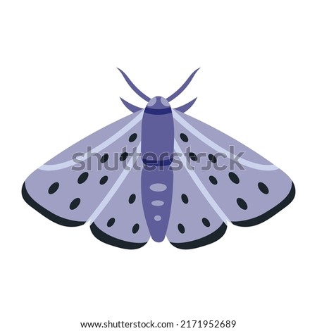 Night moth, insect with wings, cartoon style. Trendy modern vector illustration isolated on white background, hand drawn, flat design.