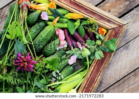 fresh vegetables assorted framed by wooden frame close-up selective focus, organic vegetables