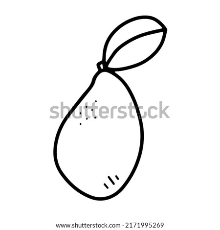 Doodle tropical mango. Hand-drawn fresh natural exotic fruit isolated on white background. Outline healthy vegetarian food, vitamin, delicious organic plant, gardening symbol. Vector illustration