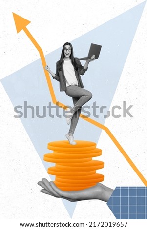 Creative pop poster collage of excited economist lady stand on drawing coins use netbook increase funds up statistics