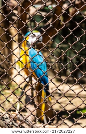 Aviary mesh with blurred parrot in the background