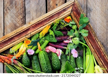 fresh vegetables assorted framed by wooden frame close-up selective focus, organic vegetables