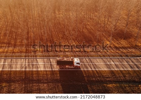Aerial view of truck with waste paper loaded in wagon driving through wooded autumn scenery, drone photography