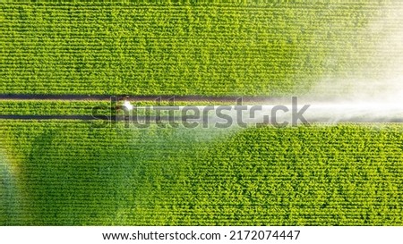 Aerial view by a drone of a potato field being irrigated by a gigantic and powerful irrigation system. High quality photo