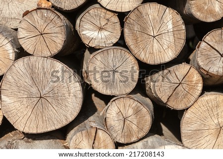 Background of firewood stacked in the woodpile 
