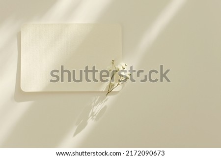 Empty copy space Blank texture canvas paper card with flower twig Light and shadows minimalism style template background. Flat lay, top view. Beige color.