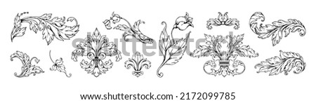Baroque arabesque floral ornaments. Rococo acanthus curl scrollwork. Engraved Victorian flourish. Flower and decorative leaves isolated elements. Botanical motif. Vector classic set