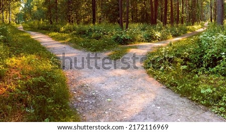 Another alley adjoins the wide path in the park, going in the other direction. Various routes. conceptual landscape Royalty-Free Stock Photo #2172116969