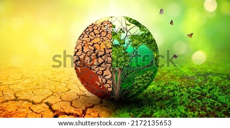 tree in two  with very different environments Earth Day or World Environment Day Global Warming and Pollution Royalty-Free Stock Photo #2172135653