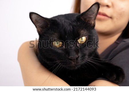 The black cats are not a symbol of bad luck with this Black Cat Appreciation Day concept.