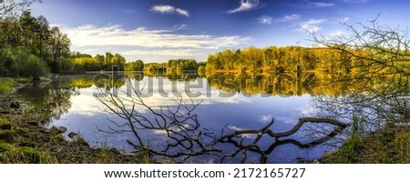 Panorama of the forest lake in autumn. Autumn forest lake panorama. Forest lake in autumn panoramic landscape. Autumn forest lake view Royalty-Free Stock Photo #2172165727