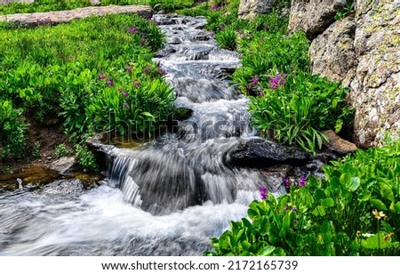 The stream turns into a small waterfall. Cold creek in nature. Summer creek flowing. Cold creek in summer Royalty-Free Stock Photo #2172165739