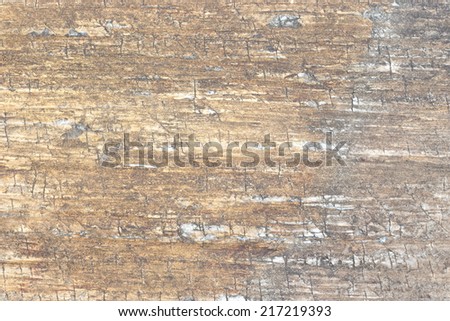 texture of marble stone  background