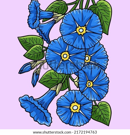 Morning Glory Flower Colored Cartoon Illustration