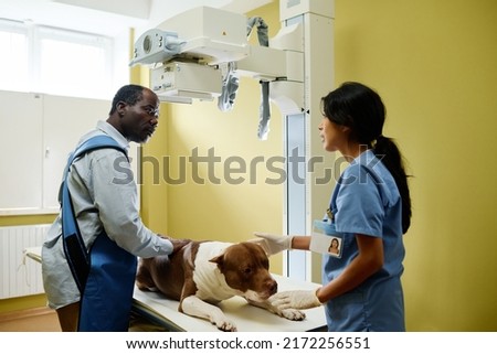 Professional doctor and injured dog owner getting ready to take X-ray picture in modern veterinary clinic