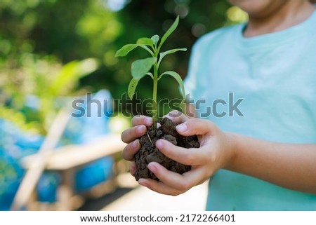 kid planting a tree for help to prevent global warming or climate change and save the earth. Picture for concept of Earth Day to encourage people about the environmental protection.