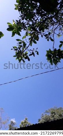 Blue sky in the afternoon with cable and leaves