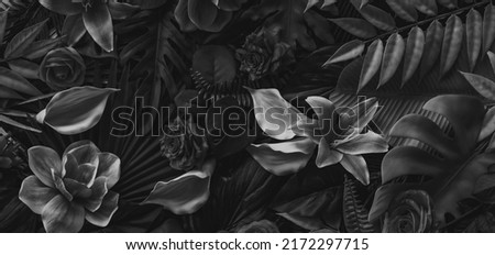 closeup nature view Black and white of green leaf and palms background. Flat lay, dark nature concept, tropical leaf  