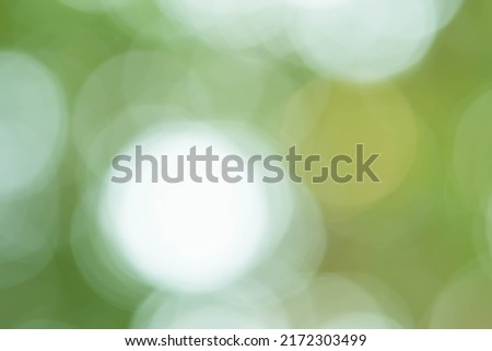 Light green bokeh abstract background