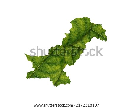 Pakistan map made of green leaves, concept ecology Map green leaf on white background Royalty-Free Stock Photo #2172318107