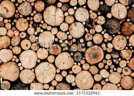 A lot of sawn branches and trunks of different diameters as decoration. Wooden background and construction material Royalty-Free Stock Photo #2172328961