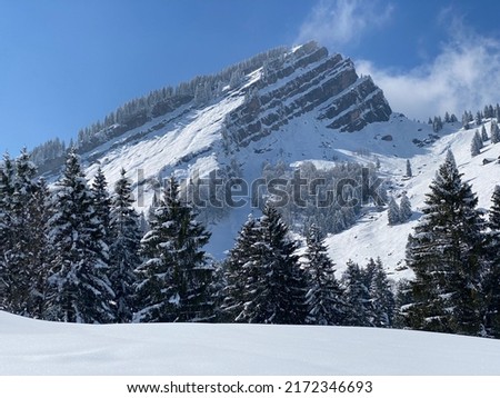 Fairytale alpine winter atmosphere and snow-capped alpine peak Stockberg (1781 m) in the Alpstein mountain massif, Nesslau - Obertoggenburg region, Switzerland (Schweiz)