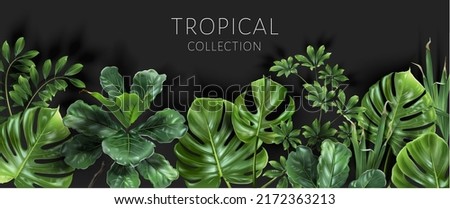 Vector tropical frame with green leaves on black background. Luxury exotic botanical design for cosmetics, wedding invitation, summer banner, spa, perfume, beauty, travel, packaging design Royalty-Free Stock Photo #2172363213