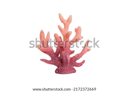 Pink decorative coral isolated on white background. perspective view. Royalty-Free Stock Photo #2172372669