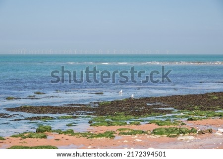 Botany Bay in Broadstairs, east Kent, England with floating offshore wind farms at horizon