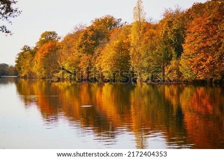 Scenic view of autumn forest and river Vienne near medieval castle of Les Ormes, France